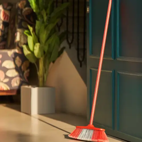 Elegant Broom