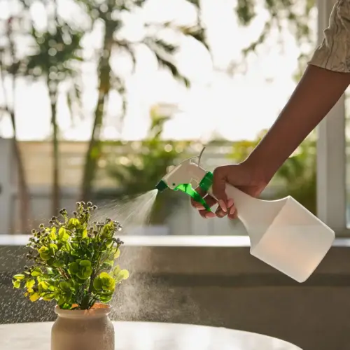 Kareena Sprayer 1000 Ml