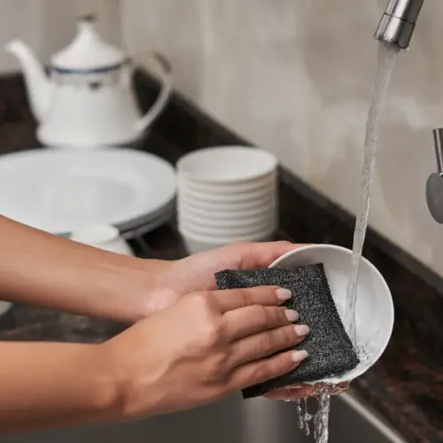 Quick Clean Scrubber