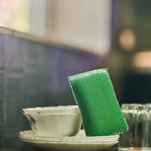 Shiny Kitchen Scrubber 2 Piece Pack